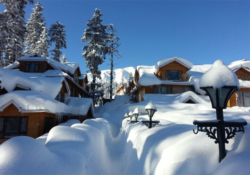 Travel Company Srinagar